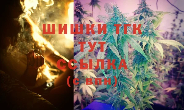 амф Надым