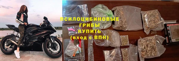 амф Надым